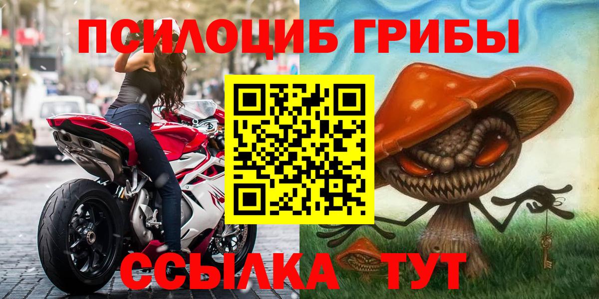 Псилоцибиновые грибы Cubensis Барнаул